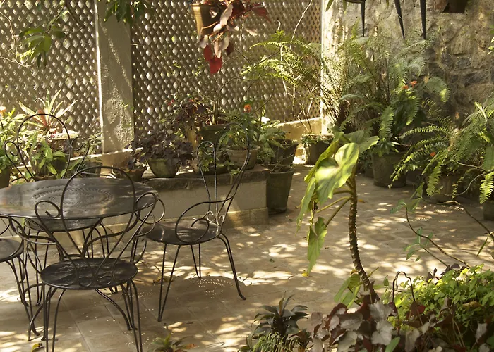 Mount Lodge Boutique Hotel