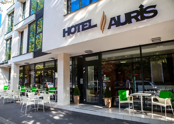 Hotel Auris
