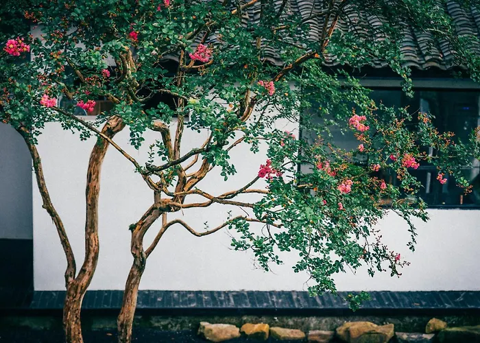 Alan Forest Stream Vacation Homestay, Mount Emei