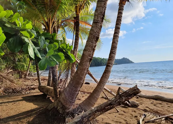 Cabinas Pura Vida B&B And Tour Operator