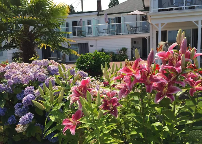Buena Vista By The Sea