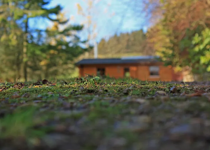 Saplinbrae Hotel And Lodges