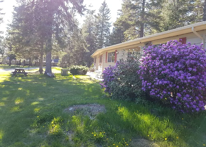 Pinecone Motel