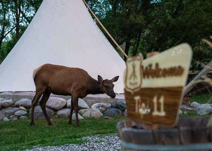Dreamcatcher Tipi Hotel
