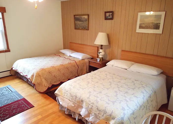 Black Bear Lodge