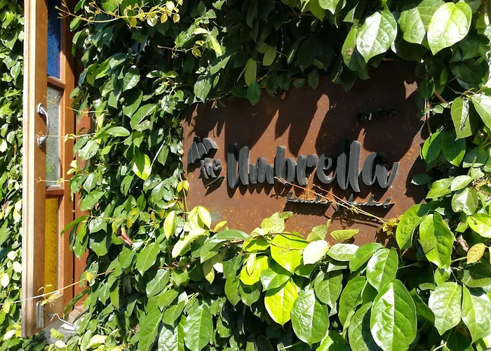 The Umbrella House