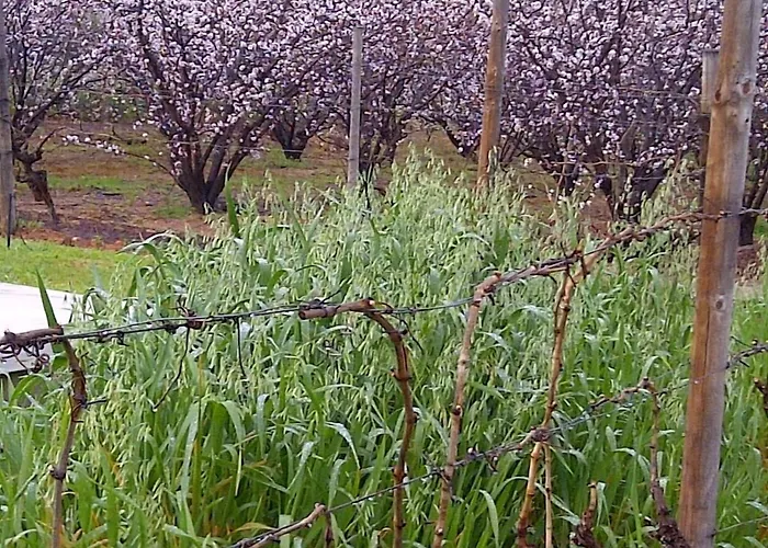 The Vineyard Country House