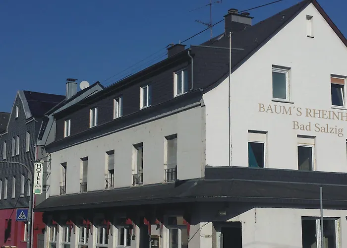 Baum'S Rheinhotel