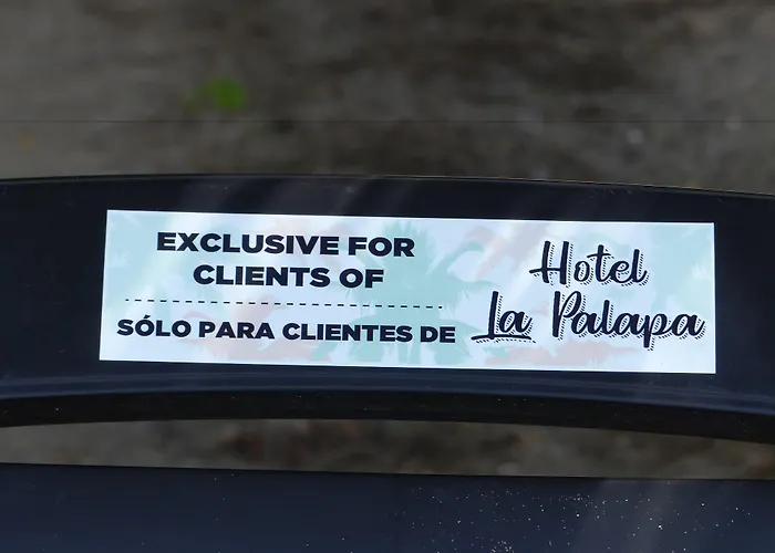 Hotel La Palapa