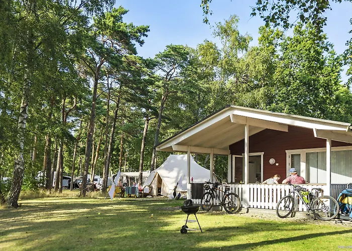 First Camp Torekov-Bastad