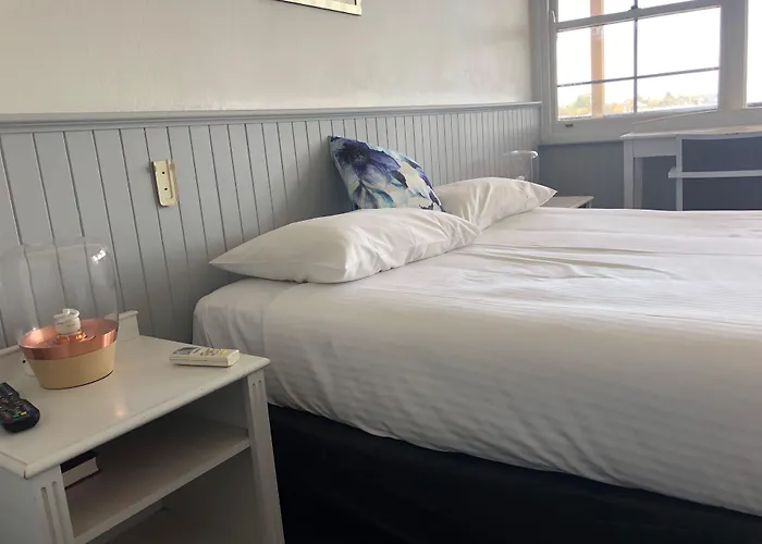 Squid'S Ink Motel