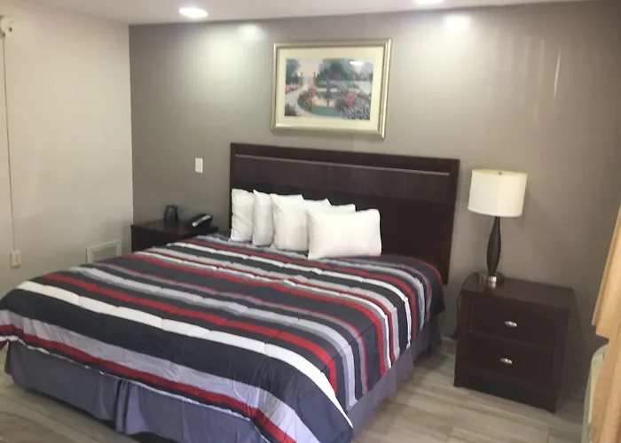 Flamingo Inn