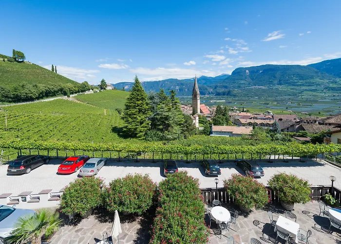 Vineus Tramin