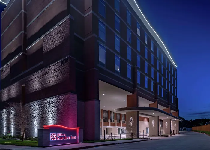 Hilton Garden Inn Dallas At Hurst Conference Center