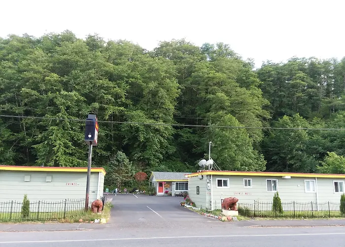 Shiny Motel