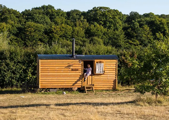 Honeysuckle Shepherds Hut At Blean Bees Eco Glamping