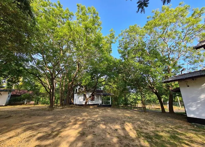 Ayu Kataragama
