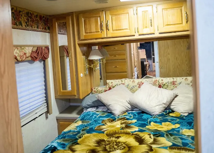 Art Rv Motorhome