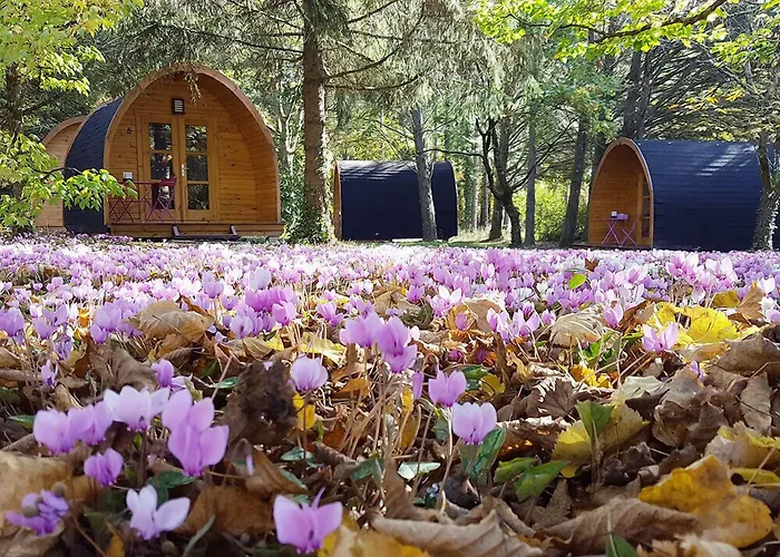 La Rossignolerie - Pod Cabanes Des Chateaux