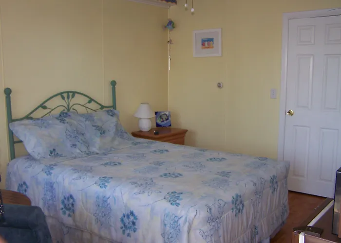 Sea Drift Motel
