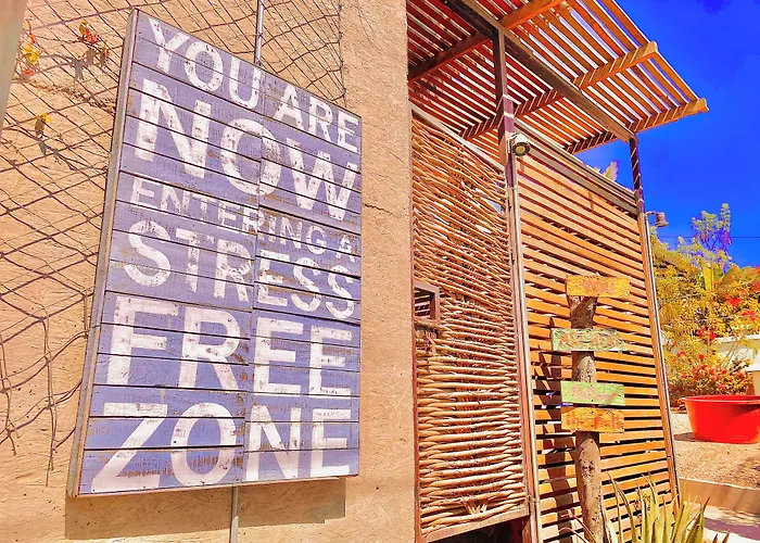Outsite Todos Santos - Work, Connect, Explore