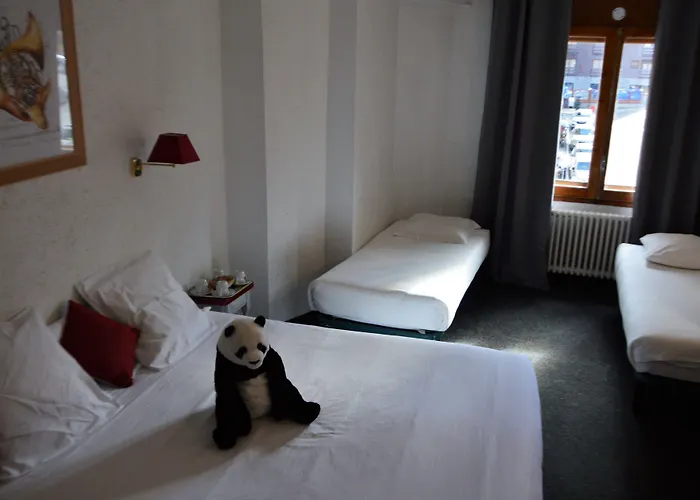 Hotel Panda