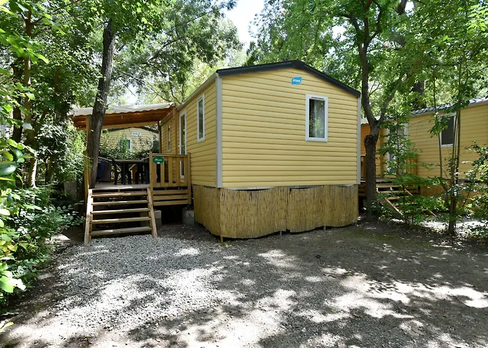 Camping Du Pont D'Avignon