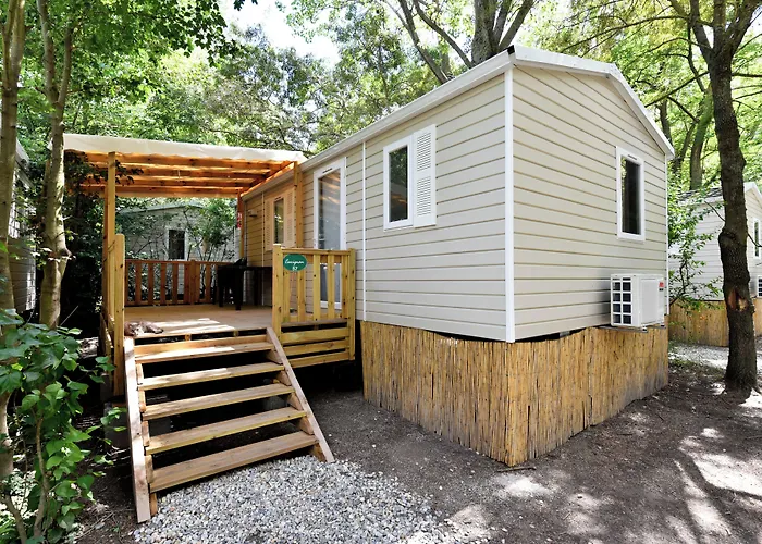 Camping Du Pont D'Avignon