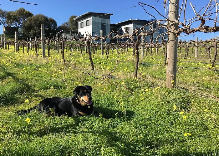 Hotel California Road At Inkwell Wines