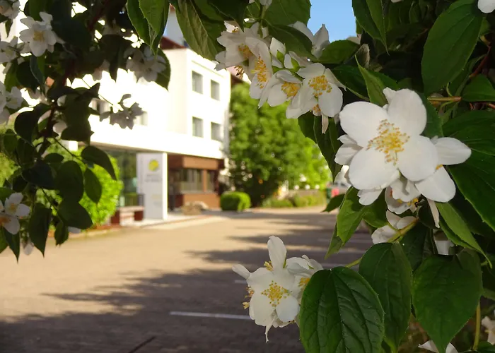 Hotel Scholz