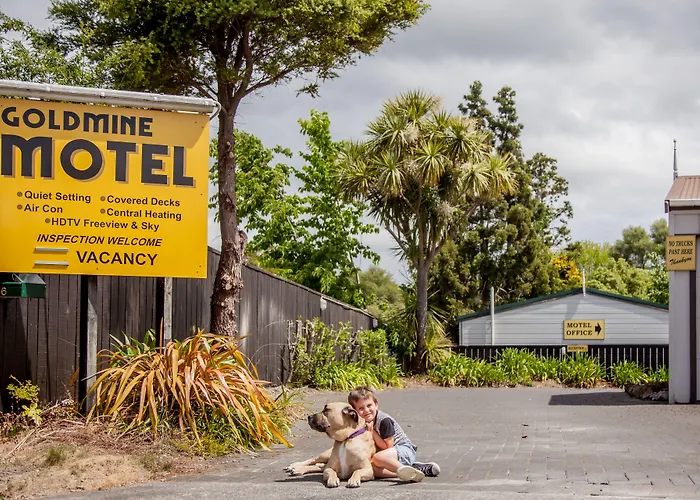 Goldmine Motel