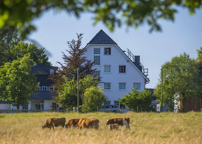 Waldhaus Foeckinghausen Hotel Ferienwohnung Ferienhaus