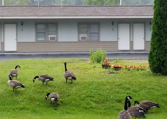 The Becket Motel