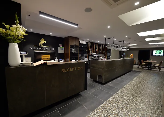 Hotel Alexandar II