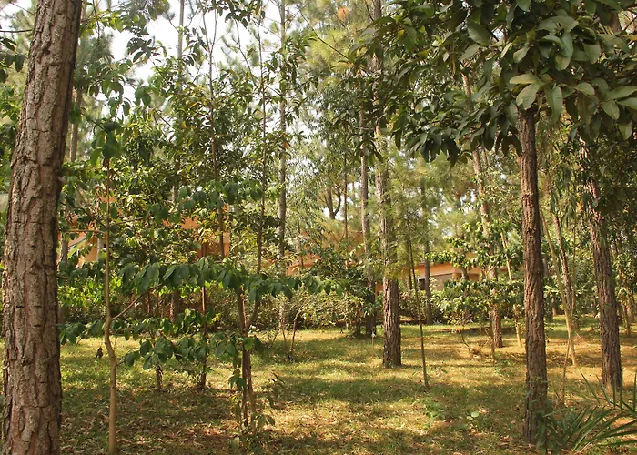 Saltek Forest Cottages