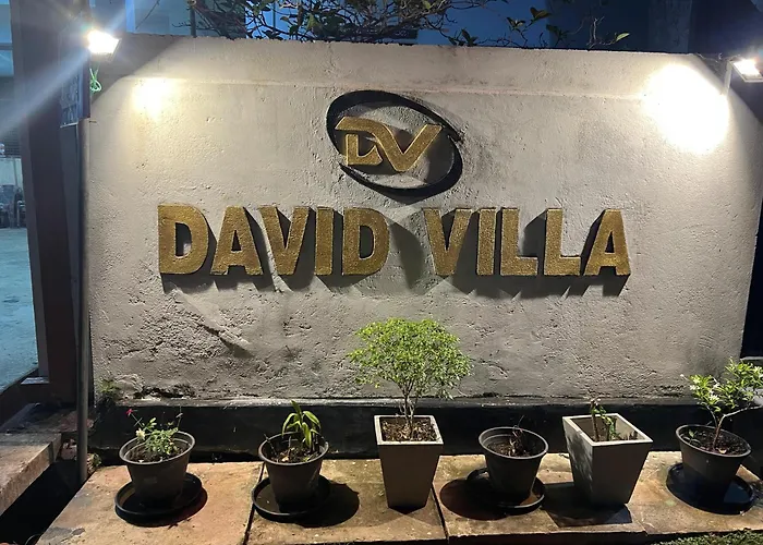 David Villa