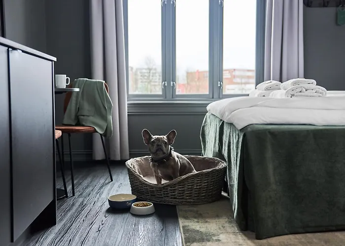 Hotel Filip