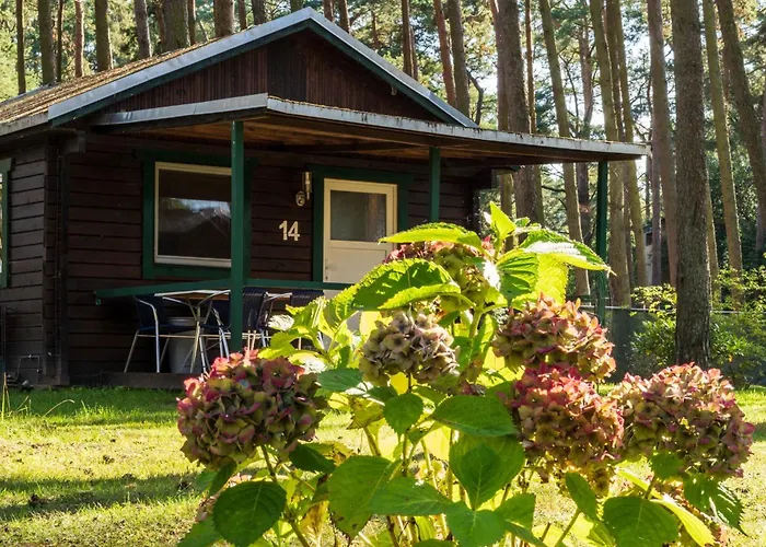 Urlaub im Bungalow - mitten im Wald
