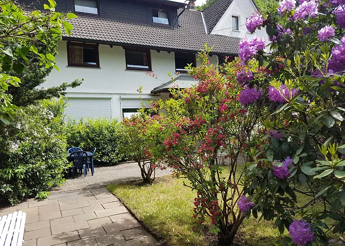 Siegerland-Hotel Haus im Walde