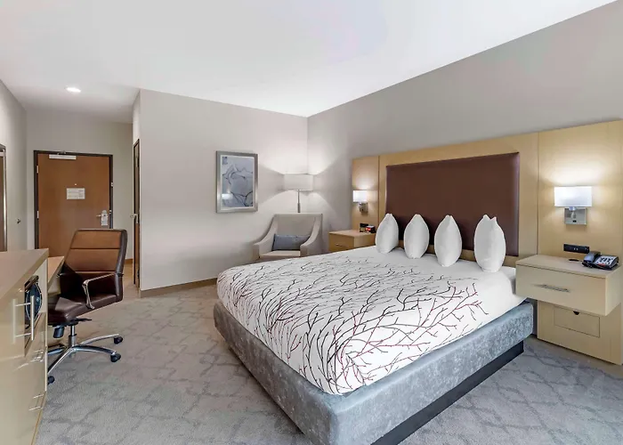 Best Western Plus Chickasha Inn