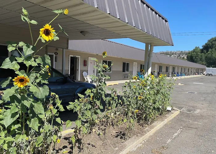 Budget 8 Motel