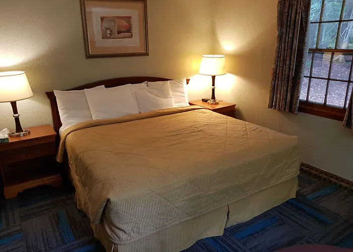 Franconia Notch Motel