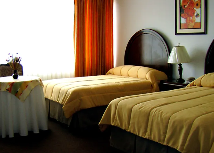 Hotel Coloso Potosi