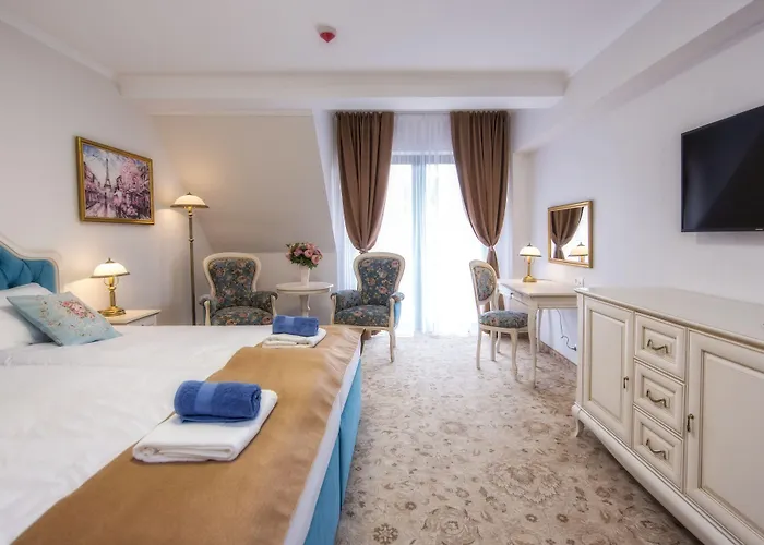 Hotel Paryski Art & Business Zakopane - Basen Jacuzzi Sauna Malpi Gaj