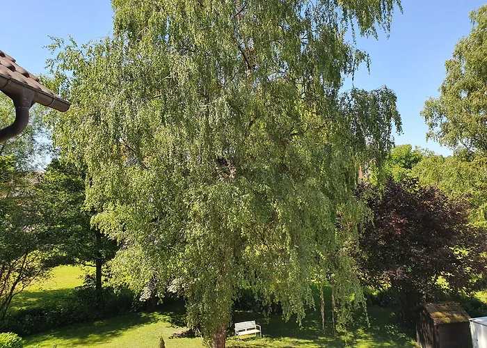 Schönenberger Hof