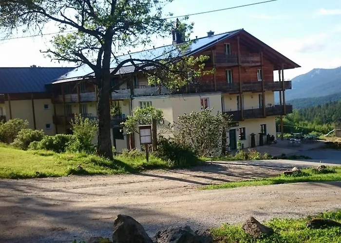 Berghotel Mooshuette Am Arber, Naturidyll Auf 950M, Wandern Direkt Ab Hoteltuer