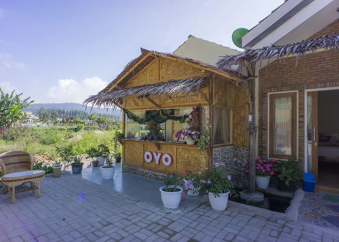 Oyo 1696 Sapo Rumbia