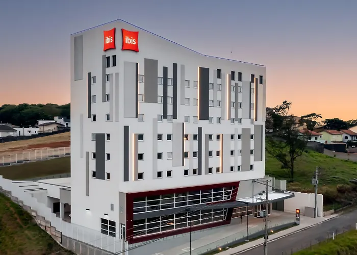 Ibis Aruja