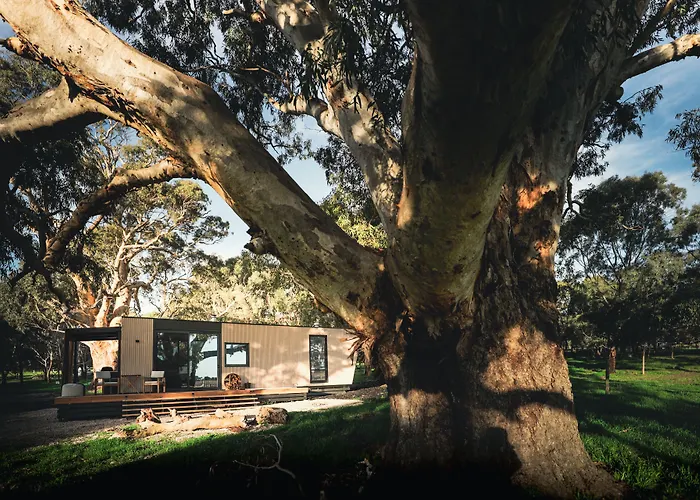 Cabn Mclaren Vale