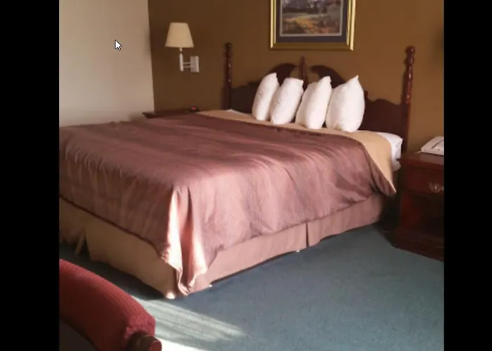 Collins Inn & Suites